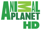 Animal Planet HD